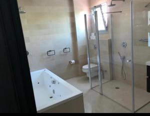 La salle de bains est pourvue d'une douche, de toilettes et d'un lavabo. dans l'établissement Villa Zait dream, à Eilat