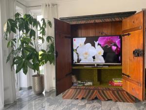 un centro de entretenimiento con TV y una planta en Ferienhaus Marktredwitz, en Marktredwitz