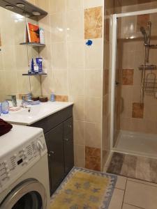 a bathroom with a shower and a washing machine at Appartement RDC avec terrasse in Épinac-les-Mines