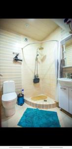 y baño con ducha, aseo y lavamanos. en Apartment on L.Meskhishvili Turn, en Tiflis