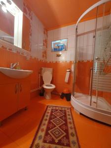 アルバクにあるPensiunea CLAのバスルーム(トイレ、洗面台、シャワー付)