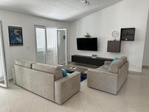 TV a/nebo společenská místnost v ubytování Apartman Gaga