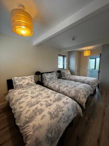 a bedroom with two beds and a chandelier at Winnie's Lodge in Galway