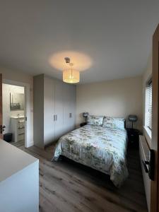 a bedroom with a bed and a chandelier at Winnie's Lodge in Galway