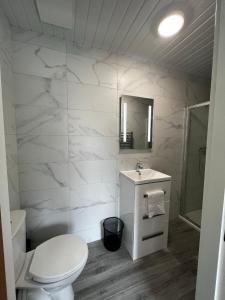 ein weißes Bad mit einem WC und einem Waschbecken in der Unterkunft Winnie's Lodge in Galway