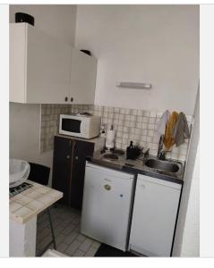 una pequeña cocina con fregadero y microondas en Loux en Lyon