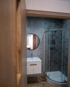 y baño con ducha, lavabo y espejo. en LOFT HOUSE APARTMENTS, en Przemyśl