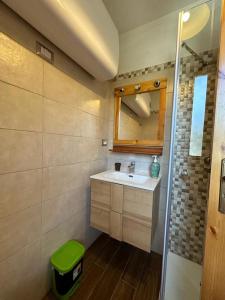 a bathroom with a sink and a mirror and a shower at La casa di Fantalegno in Camigliatello Silano