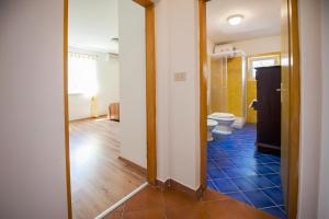 a bathroom with a toilet and a mirror at Apartments Villa Borik in Rovinj