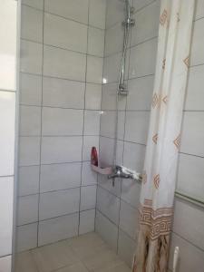 y baño con ducha y cortina de ducha. en Lola Guest House, en Vusanje