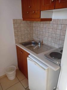 a small kitchen with a sink and a stove at Georgina in Agia Marina Nea Kydonias