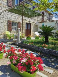 a garden with flowers in front of a house at Trinity Apartment Seafront in Kotor