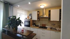 Kuchyň nebo kuchyňský kout v ubytování Apartman CELIJA