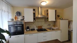 Kuchyň nebo kuchyňský kout v ubytování Apartman CELIJA