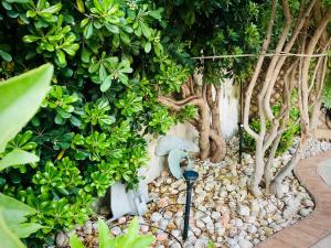 A garden outside Residenza Gli Oleandri