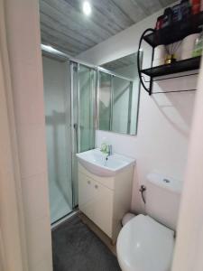 La salle de bains est pourvue de toilettes, d'un lavabo et d'une douche. dans l'établissement Noclegi, à Siemiatycze