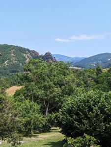 un gruppo di alberi su una collina con le montagne di B&B il Tartufo a Sozzi