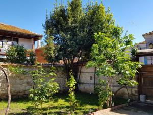a tree in a yard next to a stone wall at Nikoli - Nesebar Traditional House in Nesebar