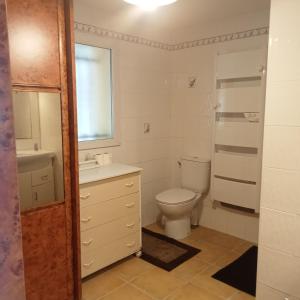 a bathroom with a toilet and a sink at Maison La Belvérine in Beauvoir-sur-Mer