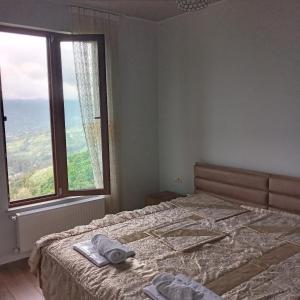 um quarto com uma cama e uma grande janela em OLEG GORGILADZE em Batumi