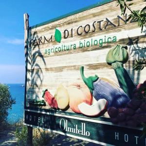 Majutusasutuses Albergo Olmitello - cucina vegetariana bio e tradizionale olev sertifikaat, autasu, silt või muu dokument