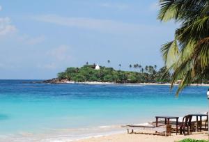 uma praia com uma palmeira e água azul em Rawanaz em Unawatuna