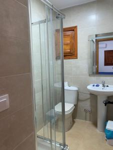 a bathroom with a shower and a toilet and a sink at Hotel Playa in Mojácar