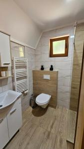 帕萊的住宿－Vikendica IVA，一间带卫生间和水槽的浴室