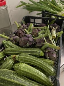 Foto sihtkohas Ischia asuva majutusasutuse Albergo Olmitello - cucina vegetariana bio e tradizionale galeriist