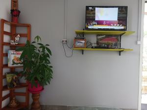 uma sala de estar com uma televisão e um vaso de plantas em L escale de bois dO em Saint-Pierre