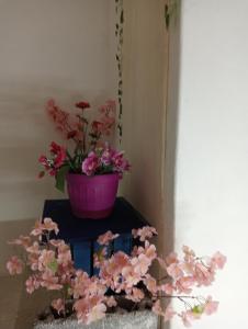 una maceta de flores rosas sentada en una mesa con flores en Zia Ciccia en Marsala