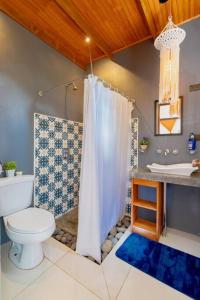 ein Bad mit einem WC, einem Waschbecken und einer Dusche in der Unterkunft Olly´s House in Turrialba