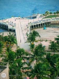 a view of a beach with palm trees and a pier at Quarto em Apto Compartilhado BEIRA MAR in Maceió