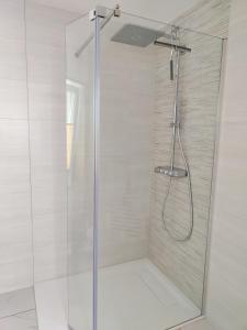 a shower with a glass door in a bathroom at Ferienwohnung zur alten Post in Pirna +25 photos