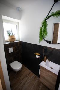 een badkamer met een toilet, een wastafel en een raam bij L'Évasion Loveroom in Sarreguemines