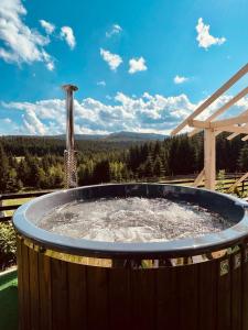 Imagen de la galería de Conacul Munții Bucovinei, en Câmpulung Moldovenesc