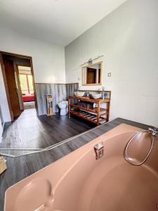 a bathroom with a bath tub and a sink at Chambres d'hôtes LA CHAPELAINE in La Chapelle-en-Vercors