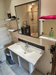 bagno con lavandino e specchio di GÎTE DE LA FONTAINE a Wangen
