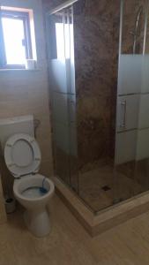 a bathroom with a toilet and a shower at Casa Loredana in Mangalia
