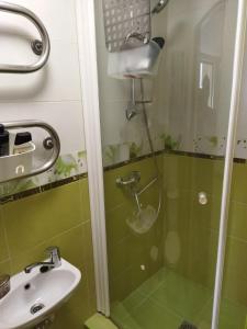 a green bathroom with a shower and a sink at Itaja Apartment 91 in Šiauliai +8 photos