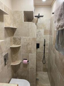 La salle de bains est pourvue d'une douche et de toilettes. dans l'établissement Le Panorama Orcières, à Orcières