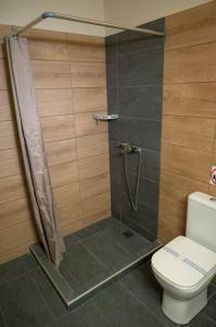 a bathroom with a shower and a toilet at Anesis Airport rooms 204 in Koropi