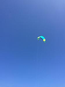 a kite is flying in the blue sky at Manta Cottage - Forest view in Galu