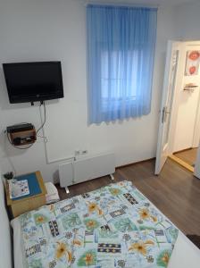 - une chambre avec un lit et une télévision murale dans l'établissement Sobe Ana, à Sombor