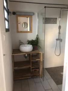 a bathroom with a sink and a shower at Bungalow 4 épices in Saint-Leu