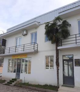 a white building with a palm tree in front of it at Hotel Mogzauri, Khulo in Khulo