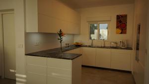Kuchnia lub aneks kuchenny w obiekcie Apartment Torrecilla