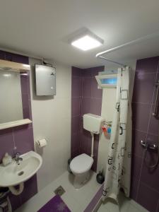 La salle de bains est pourvue de toilettes et d'un lavabo. dans l'établissement Sobe Ana, à Sombor