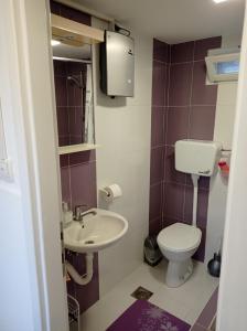 een kleine badkamer met een toilet en een wastafel bij Sobe Ana in Sombor
