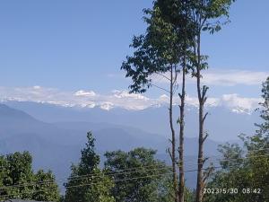 uitzicht op de besneeuwde bergen in de verte bij Dawn Home Stay in Darjeeling